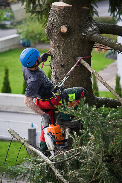 Mulching Services in Port Reading, NJ